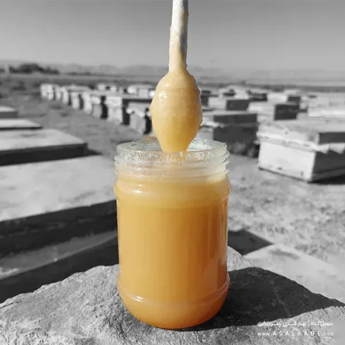 عسل خارشتر خام ارگانیک